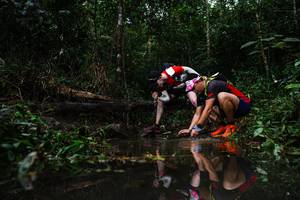 BIB: 
                            <button type="button" onclick="openModal(22480913)" class="btn btn-primary btn-sm float-right btn-popup" data-toggle="modal" data-target=".modal-high-quality">
                        <i class="fas fa-shopping-cart"></i> Add to Cart
                    </button>
                                            <button type="button" onclick="isThisMe(22480913, true)" class="btn btn-success btn-sm float-right btn-popup btn-isme hidden" data-toggle="tooltip" data-placement="bottom" title="นี่คือรูปของคุณใช่ไหม คลิกที่นี่เพื่อเอาเข้าอัลบั้ม">
                        <i class="fas fa-plus"></i> Add to album
                    </button>
                    <button type="button" onclick="isThisMe(22480913, false)" class="btn btn-warning btn-sm float-right btn-popup btn-isnotme hidden">
                        <i class="fas fa-ban"></i> Remove from album
                    </button>